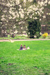 couple resting in park at green grass at spring blooming public park