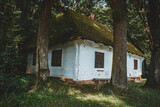 Fototapeta Las - drewniany dom w lesie