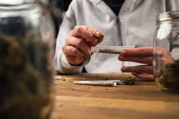 Wall Mural - Man rolling marijuana cannabis joint in coffee shop Amsterdam with CBD weed buds in glass jars.