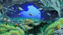 Grotto With Dolphins Under Water Colored Fish Underwater Plants Ocean Bottom Illustration