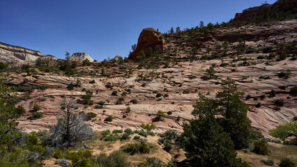 Wall Mural - An amazing view of the rocky landscapes of Zion National Park against the blue sky in the USA