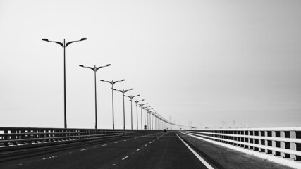 Wall Mural - A grayscale shot of a row of light poles on a bridge