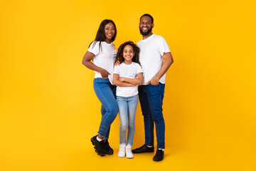 Wall Mural - Smiling black guy, lady and girl posing at studio