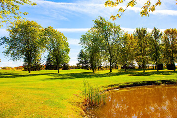 Canvas Print - Bright colors of autumn.