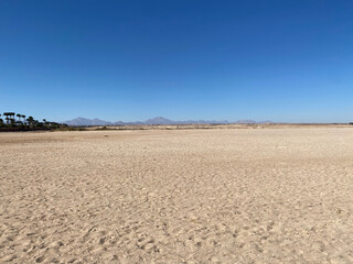 Desert, sand and sky. Mountains and palm trees on the horizon. Clear sky.