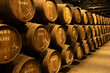 porto barrels in a cellar