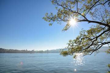 Wall Mural - Herbst am Ufer des Bodensees