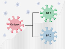 Omicron Variant And Its Subtypes  BA.1 And BA.2. Covid-19 Virus Icons With Names. Covid Statistics In The Background. Small Viruses With The Greek Letters Alpha, Beta, Gamma, Delta Flying Around.