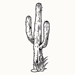 Canvas Print - Tall prickly cactus in black and white colors