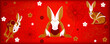 Background with rabbits and cherries for chinese new year or mid autumn festival. Suitable for banner, web, poster, greeting card, invitation. Vector illustration.