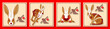 Set of square Chinese New Year vector backgrounds, banners, cards, posters. Oriental zodiac symbol of 2023. Chinese New Year 2023 Year of Rabbit. Hieroglyph means Rabbit. Vector design elements