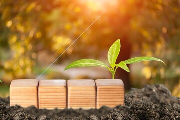 Sticker - Changing year concept in wooden blocks cubes with growing plant at sunrise.