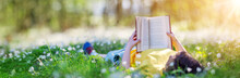 Small Child Lying Down On The Field In The Spring Park And Reading A Book
