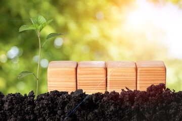 Sticker - Changing year concept in wooden blocks cubes with growing plant at sunrise.