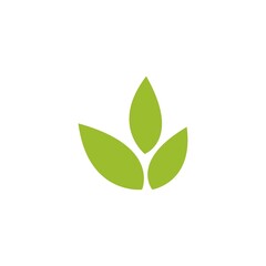 Sticker - Green leaf illustration