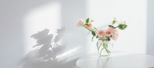 Poster - pink roses in glass jar on white modern table on background white wall