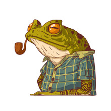 A Frog Smoking A Pipe, Vector Illustration. Humanized Frog. A Portrait Of An Anthropomorphic Frog, Wearing A Plaid Shirt, And Smoking A Pipe With A Calm Face. An Animal Character With A Human Body.