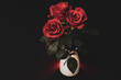 Three red roses in vase on the black background with a little retro color grading