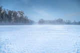 Fototapeta Krajobraz - zamieć śnieżna lub zimowy pejzaż z mgłą o poranku wśród lasów i wody