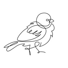 Sparrow Bird In Continuous Line Art Drawing Style. Black Linear Sketch Isolated On White Background. Vector Illustration