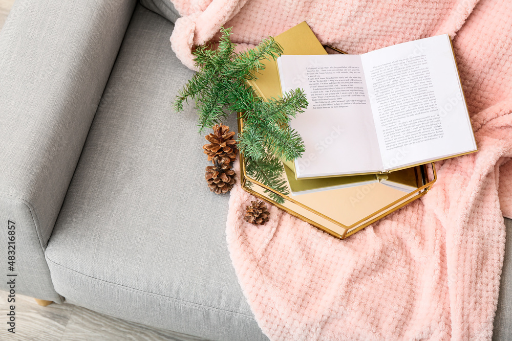 Tray with books, fir tree branch and pine cones on comfortable sofa