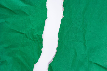 Crumpled green paper torn vertically with torn edges on a white background. isolated. place for your text.