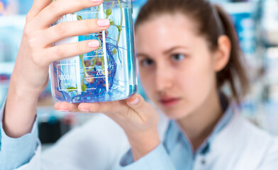 Wall Mural - young woman in a science laboratory with plant samples in a flask