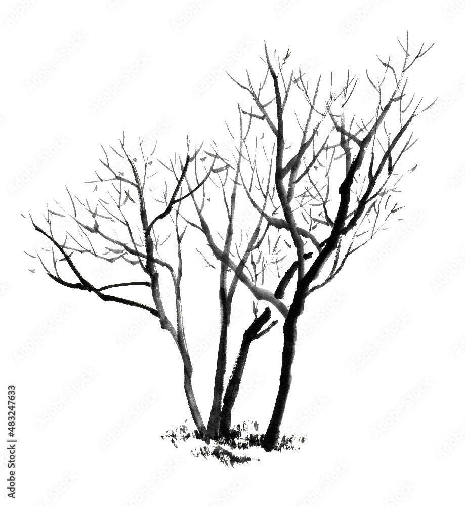 水墨画技法で描いた冬の樹 Stock Vector | Adobe Stock 