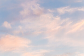 Wall Mural - Background of blue sky with white pink clouds in sunset