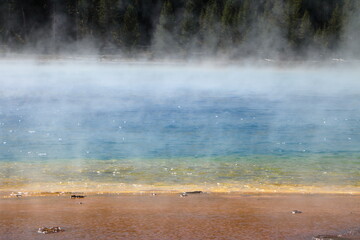 Wall Mural - Sparkling acidic waters of Grand Prismatic Spring, Yellowstone National Park, Wyoming