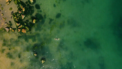 Aerial view of a girl swimming in sea with Algae green water by the rocky beach. Coast of sea in summer. Top view. Landscape with clear azure water, stones and rocks. Nature background