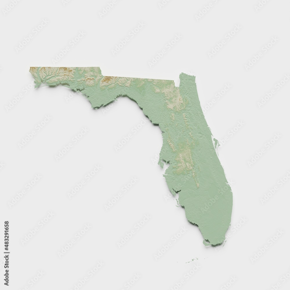 Florida Topographic Relief Map  - 3D Render