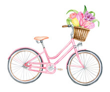 Watercolor Hand Drawn Pink Bycicle, Spring Floral Clipart, Isolated Illustration On White Background. 