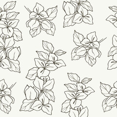 Hand drawn bougainvillea seamless pattern