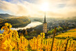The Moselle Loop in Rhineland-Palatinate, Germany. Beautiful landscape shot at sunrise with fog in the morning over the town of Brem in the wine field of a steep slope