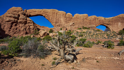 Sticker - A closeup of arches in National Park, USA