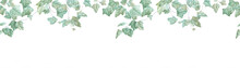 Ivy Branches Watercolor Seamless Border On White Background