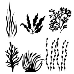 Wall Mural - seaweed silhouette, on white background, vector, isolated