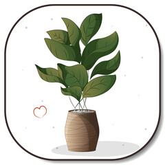 Wall Mural - Houseplant in a pot. Houseplant, home garden, gardening, plant lover, houseplant store concept, greenhouse.