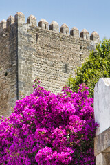 Poster - A closeup of a castle in the daylight