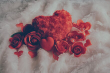 Happy Valentine's Day. Red Roses And Hearts Placed On White Feathers