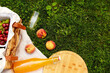 © Syda Productions - leisure and drinks concept - close up of food, drinks and basket on picnic blanket on grass