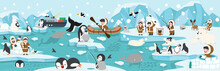 North Pole Artic Animals Background Landscape