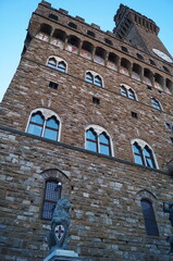 Wall Mural - Sculpture of the Marzocco, symbol of Florence, in Piazza Signoria, Italy