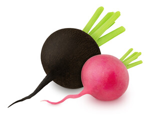 Wall Mural - Composition with fresh whole pink and black radishes isolated on a white background.
