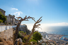View From The Lookout Point Terrace Near Prince Ferdinand's Battery On The Rock Of Gibraltar Of The Port And Sea Below With A Barbary Ape Or Macaques Monkey Sitting On The Ledge