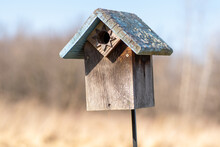 Low Angle View Of Bluebird House In A Field
