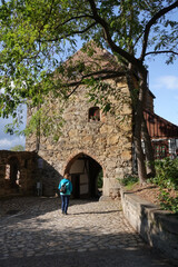 Wall Mural - Am Mühltor in Bautzen