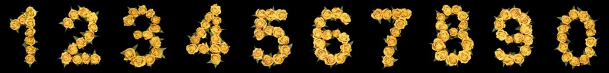 Wall Mural - Set of arabic numbers from natural yellow flowers of roses, isolated on black background