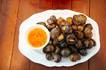 shellfish freshwater snail nautilus ammonite with spicy chili sauce / Boiled golden apple snail river cooked for Asian food in Thailand